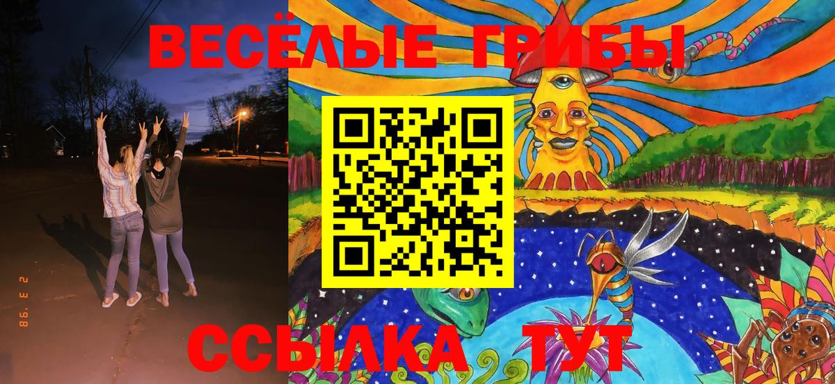 Псилоцибиновые грибы Cubensis Новочебоксарск